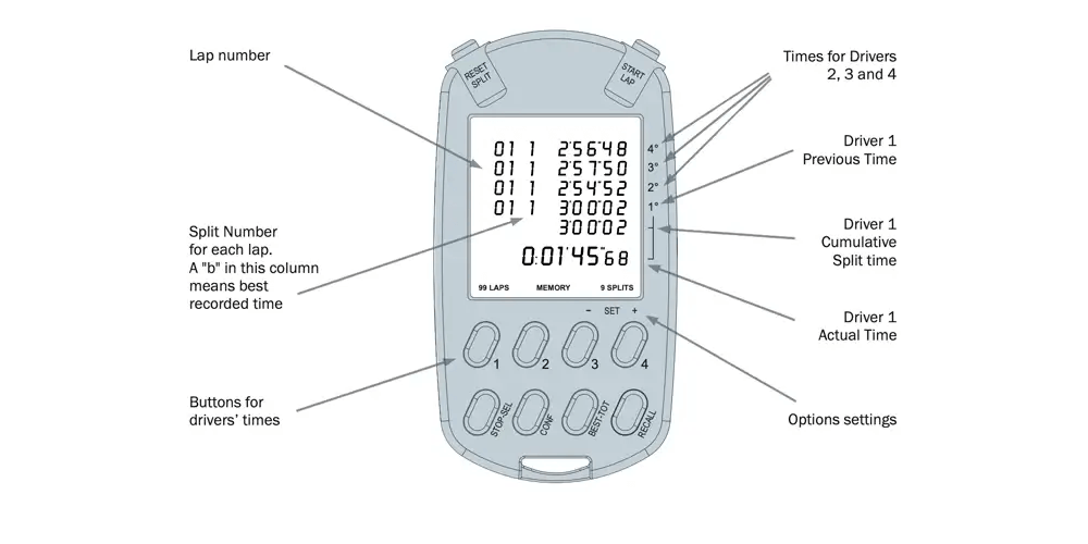 MultiChron diagram